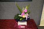 IMG_0087 (800x533).jpg