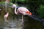 DSC_1297.jpg