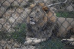 DSC_1369.jpg