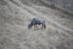 DSC_1403.jpg