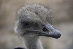 DSC_1426.jpg