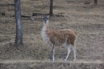 DSC_1486.jpg