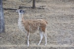 DSC_1487.jpg