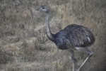 DSC_1524.jpg