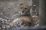 DSC_1560.jpg