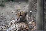 DSC_1572.jpg