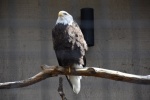 DSC_1662.jpg