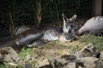 DSC_1683.jpg