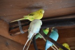DSC_1686.jpg
