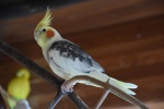 DSC_1687.jpg