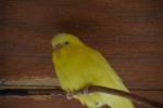 DSC_1698.jpg
