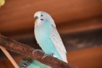 DSC_1705.jpg