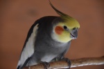 DSC_1722.jpg