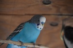 DSC_1734.jpg