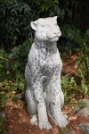 DSC_1779.jpg