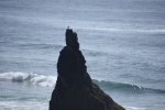 DSC_1857.jpg