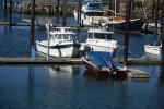 DSC_1949.jpg
