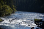 DSC_2027.jpg