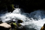 DSC_2095.jpg