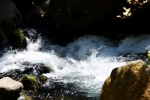 DSC_2096.jpg