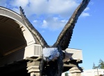 DSC_2271.jpg