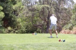 IMG_6037 (1280x853).jpg