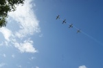 DSC00622 (1280x852).jpg