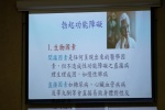 DSC02648.jpg