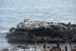 DSC_3425.jpg