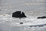 DSC_3430.jpg
