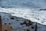 DSC_3433.jpg