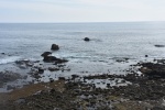 DSC_3451.jpg
