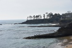 DSC_3490.jpg