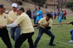 IMG_0560 (800x533) (2).jpg