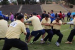 IMG_0576 (800x533) (2).jpg